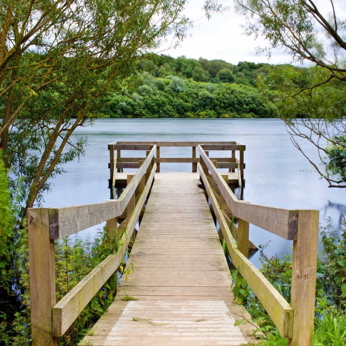 Ruislip Lido Woods, London