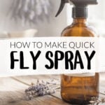 An amber bottle of DIY fly spray on a kitchen worktop