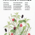 Flat lay infographic of natural antihistamines
