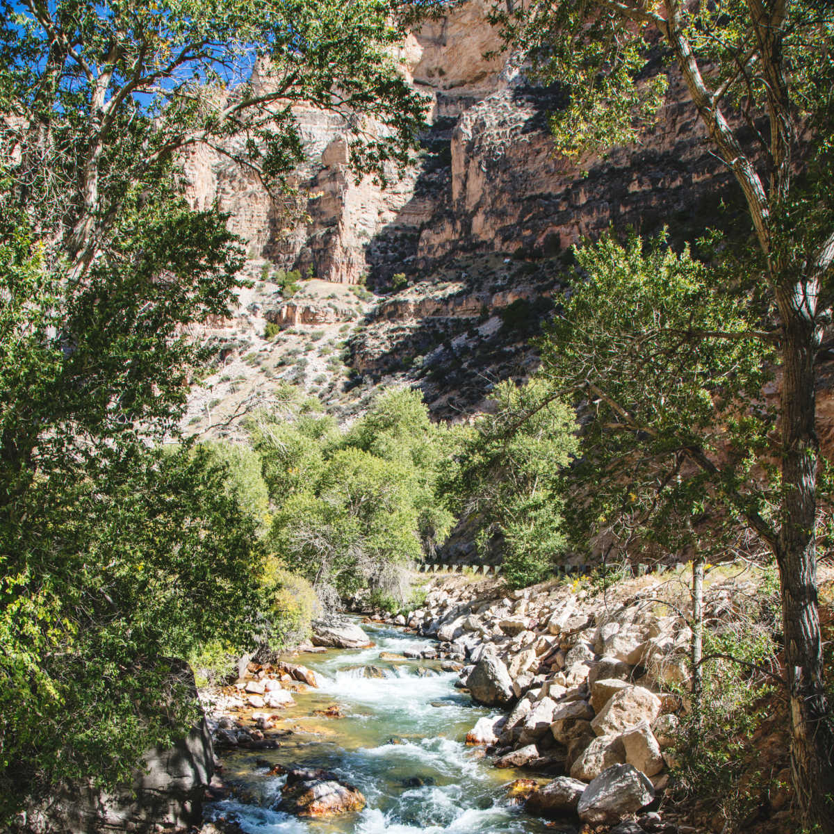Mountain stream