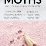 Pink cashmere sweater with moth holes and clothes moth